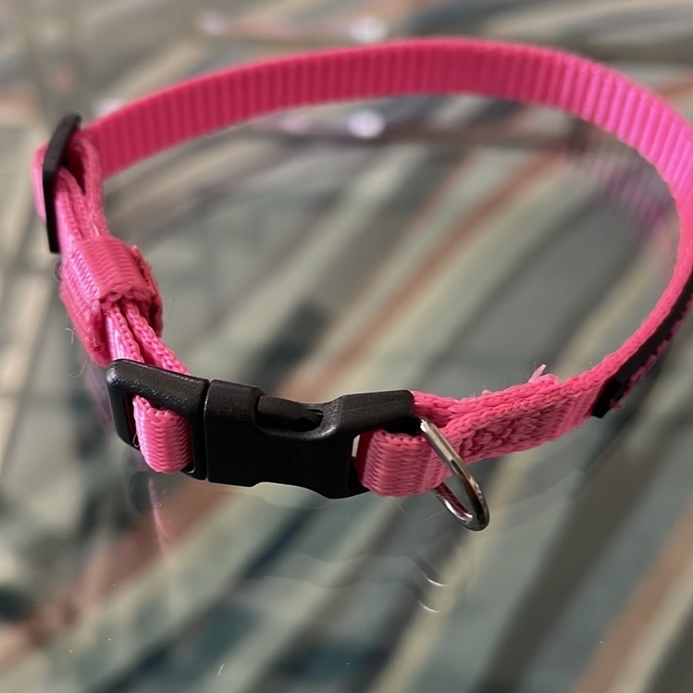 🆕TopPaw XS collar - Picture 2 of 5